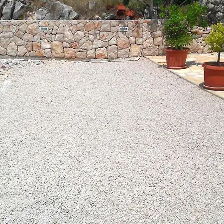 House Marie's Lavander Dream *